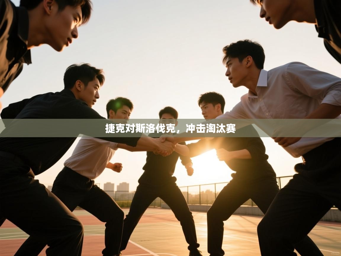 捷克对斯洛伐克，冲击淘汰赛  第2张